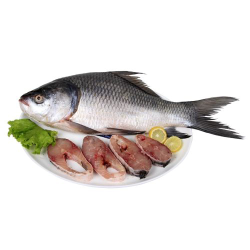 Local River Live Katla Whole