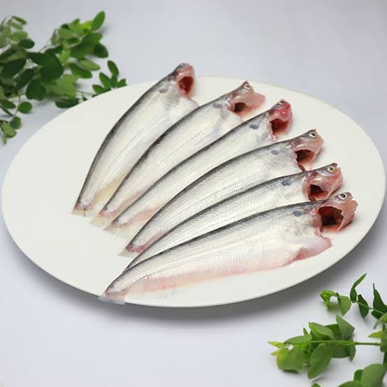 Pabda Guest Size (15-17 pc /kg Size)