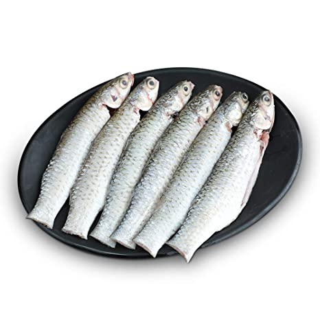 Kolkata Parse / Parshe Fish