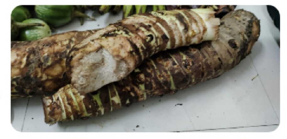 Maan Kochu (মান কচু)