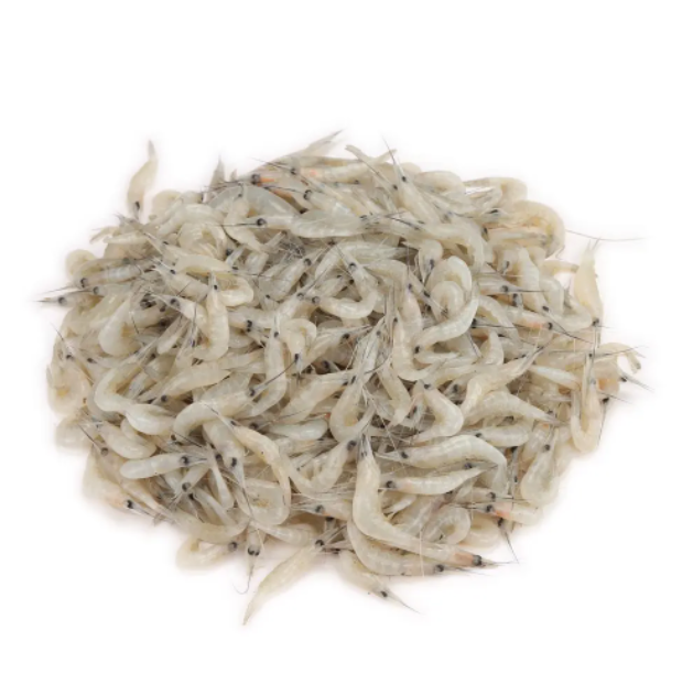 Kucho Chingri