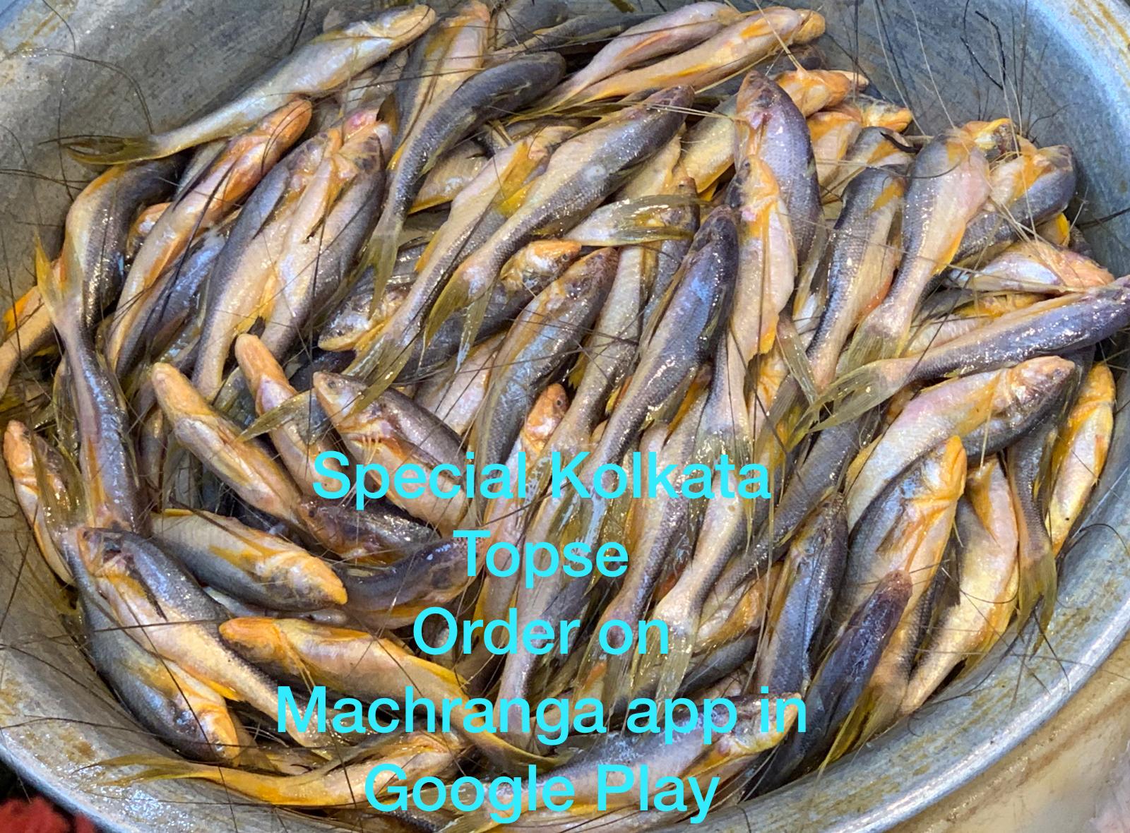 Kolkata Topse (Mango fish - Small)