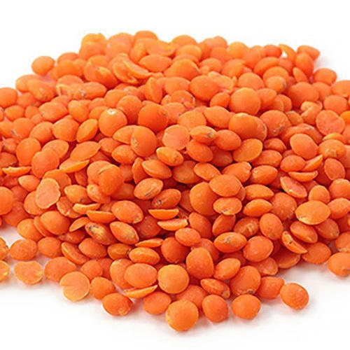Masoor Daal / Dal (Lentil) (500Gms/Pack)