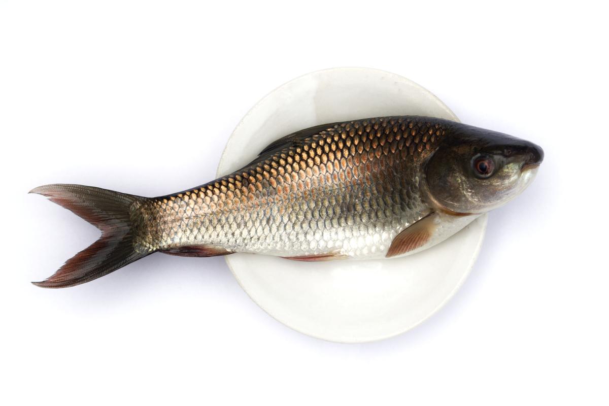 Rohu/Rui Medium Whole (1-1.5Kg Size)