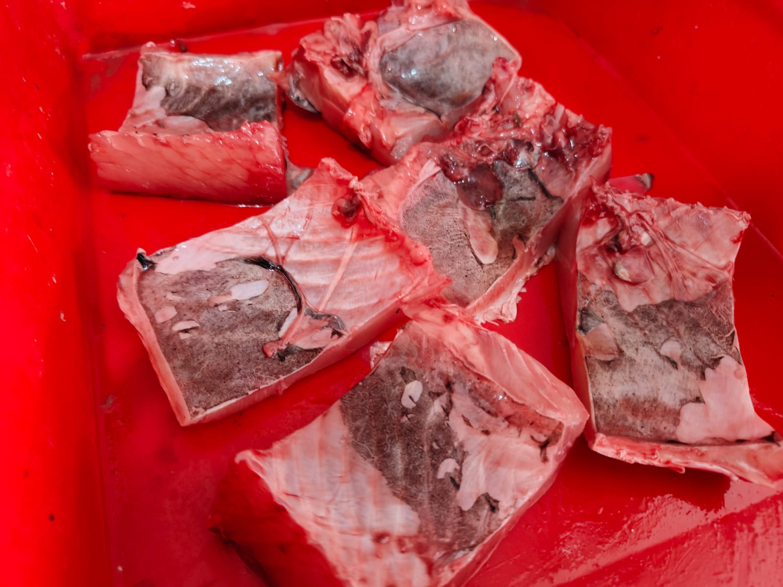 Eggless Rui / Rohu - Only Peti/Belly Pieces