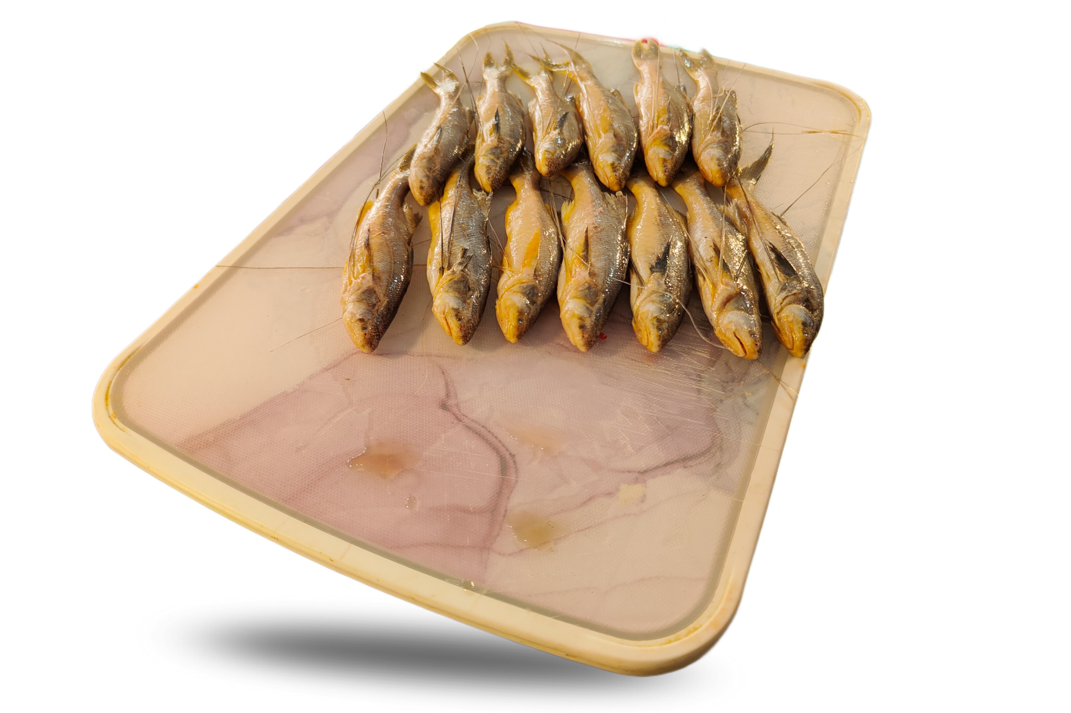 Kolkata Topse (Mango fish)
