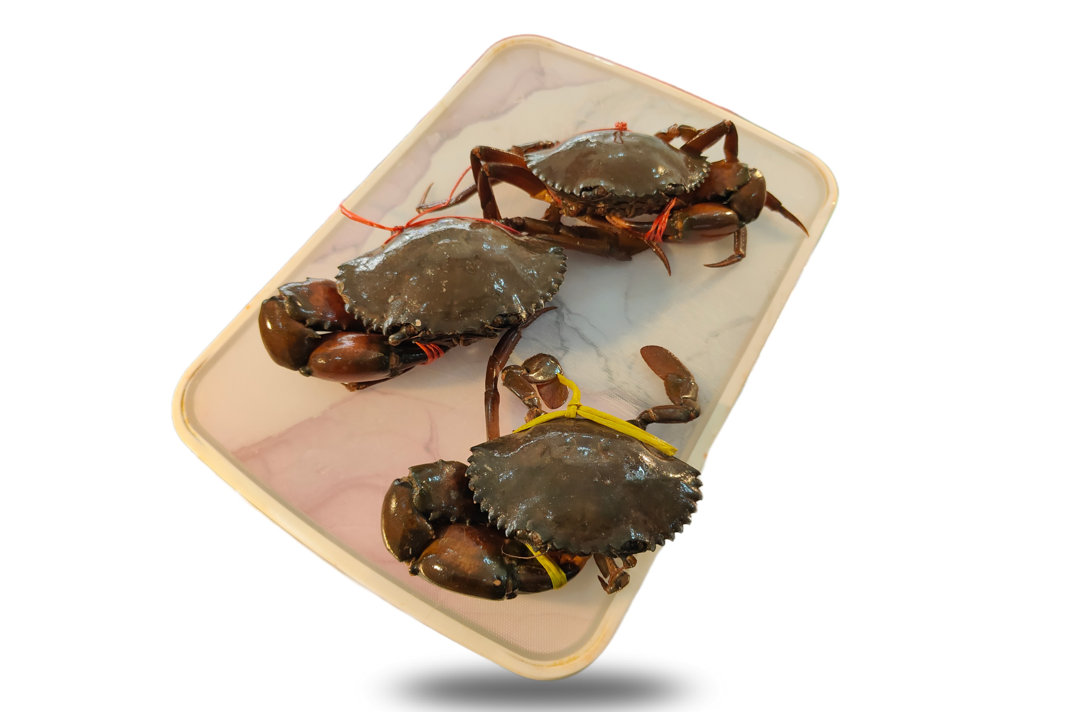 Mud Crab (8-12Pc/Kg)