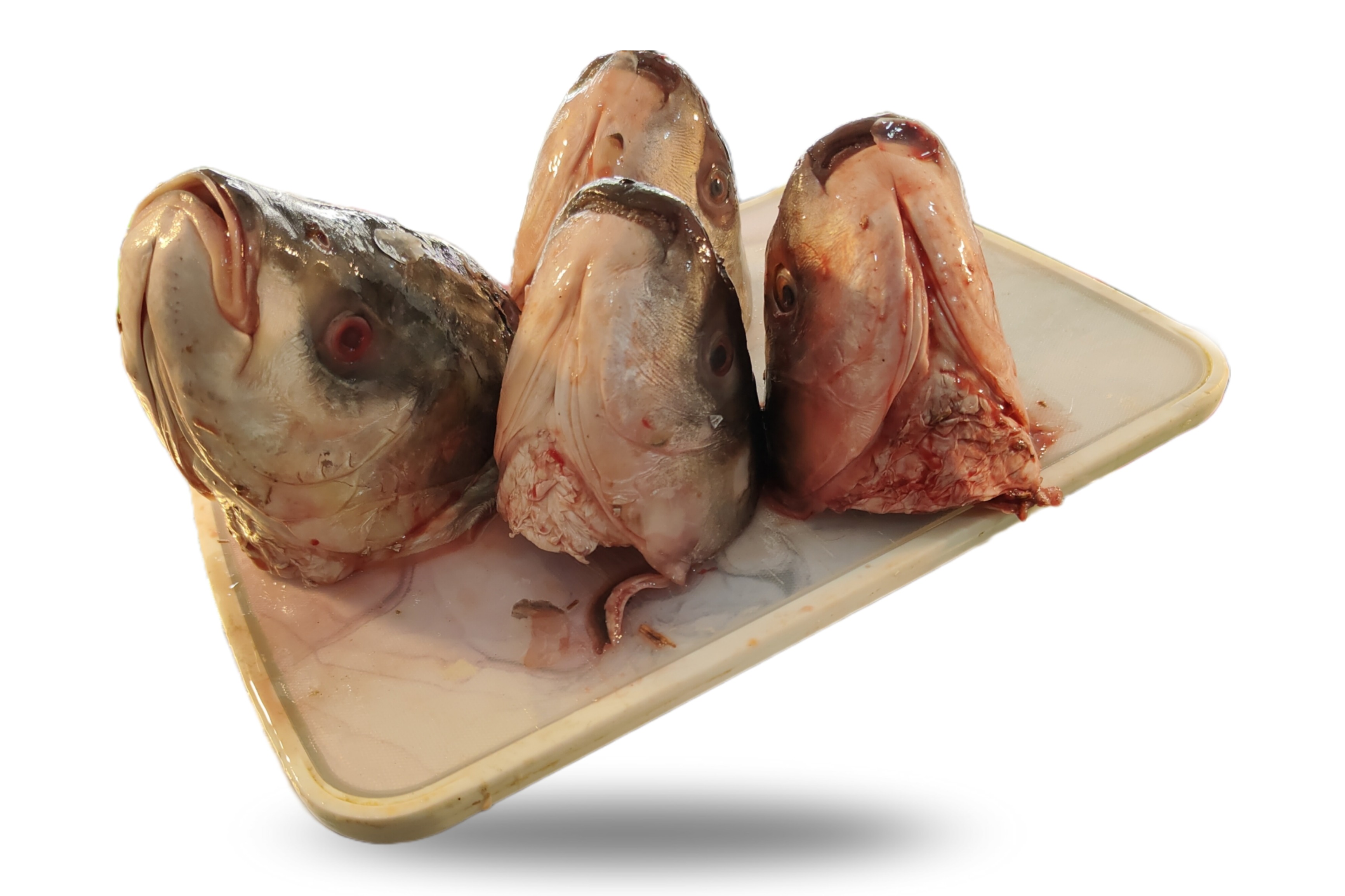 Fish Head - Free Dressing