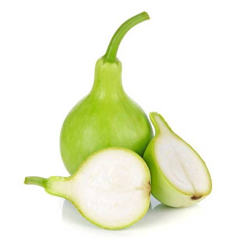 Lau / Bottle Gourd / Lauki (লাউ)