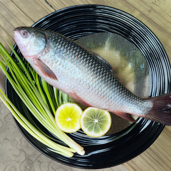 Local River Live Rui/Rohu Whole 700gm-1kg size - FREE DRESSING