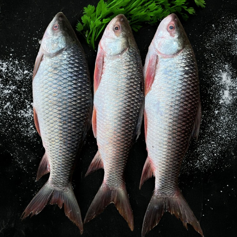 Live Rui/Rohu Whole (Local/Deshi) (700-1000gm)
